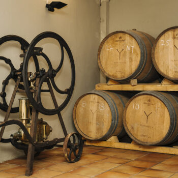 bodegaramanya