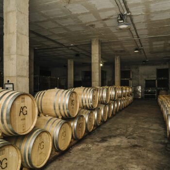 bodeguesangel