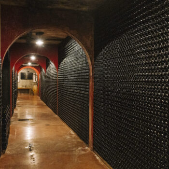 bodeguesmaciabatle