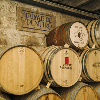 cellerjaumepuntiro